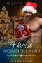 [The Parker's 12 Days of Christmas 08] • A Wild Wonderland